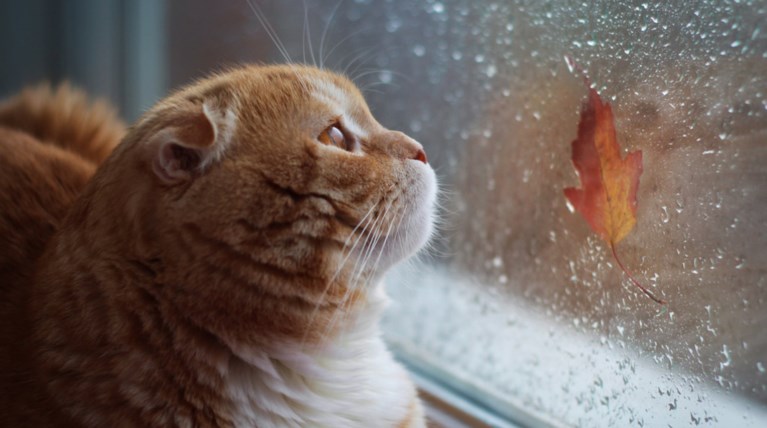 Άστατος καιρός με βροχές και καταιγίδες σήμερα