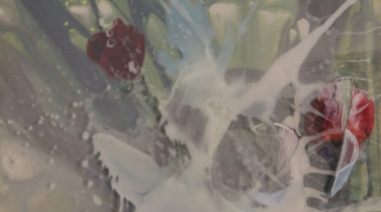 Δώδεκα καλλιτέχνες στον Εικαστικό Κύκλο: Ένα άλμπουμ εικόνων