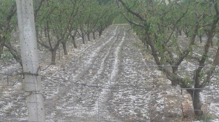 Χαλάζι στο μέγεθος φουντουκιού έπεσε στην Κοζάνη  φωτο & video