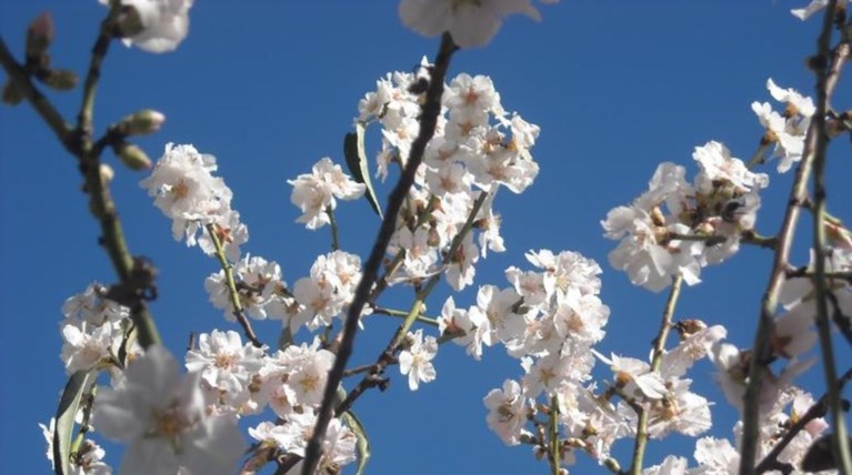 Καιρός: Σταδιακή άνοδος της θερμοκρασίας