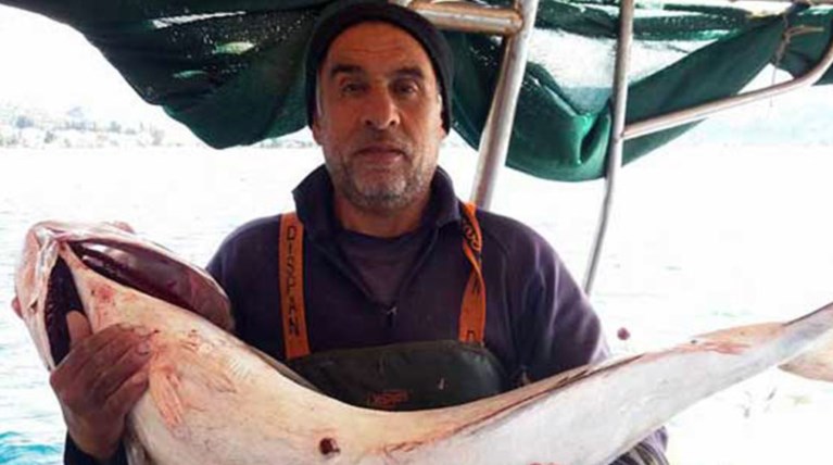 ...Σέλφι στην Πρέβεζα με ένα τεράστιο ψάρι 40 κιλών