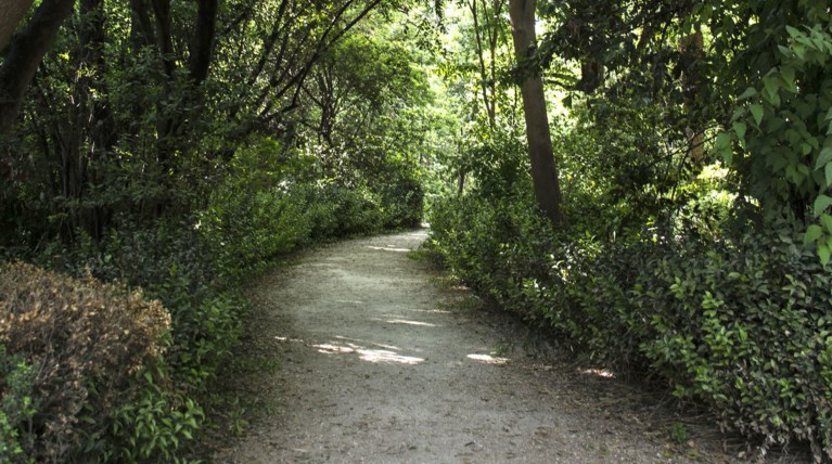 Θρίλερ με ανθρώπινα οστά που βρέθηκαν στον Εθνικό Κήπο