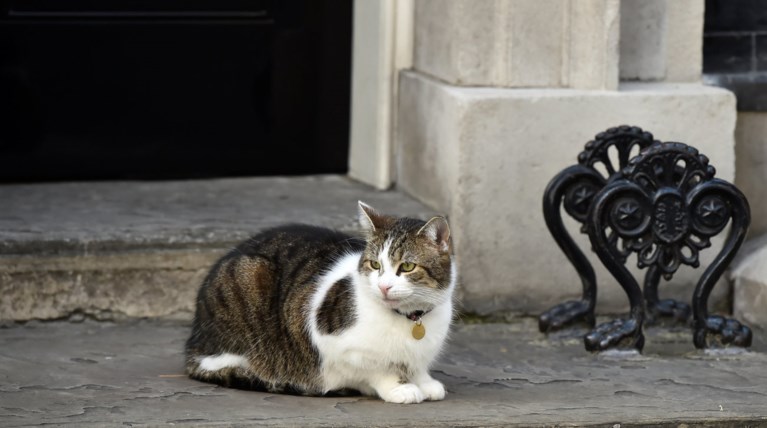 Ποια Μέι; Ο γάτος Λάρι... αυτοδύναμος στην Ντάουνινγκ Στριτ