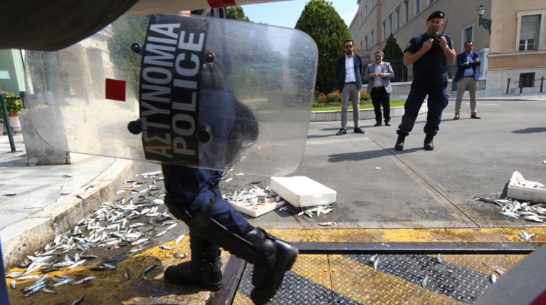 Διαδηλωτές του ΠΑΜΕ πέταξαν σαρδέλες στο προαύλιο της Βουλής (φωτό)