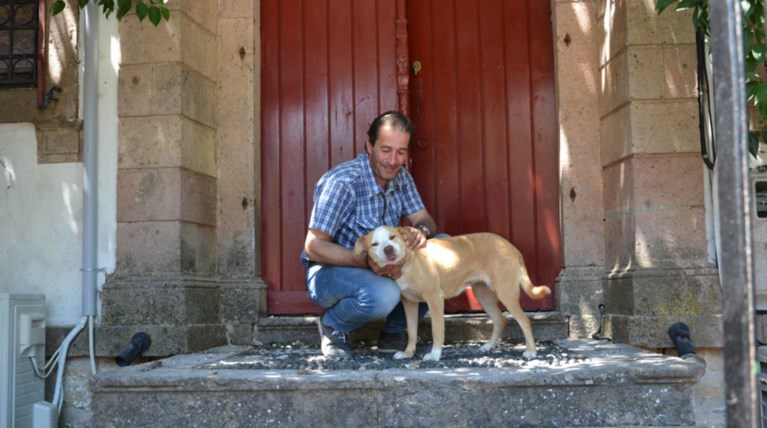 Εξαφανίστηκαν τα ζώα από τη Βρίσα - Εμειναν μόνο δύο σκυλάκια