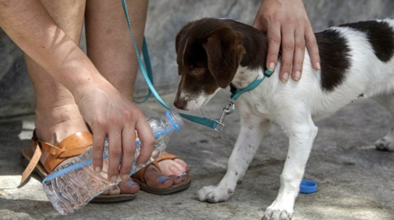 Ρεκόρ ζέστης το Σάββατο στη Λάρισα - Πού θα φθάσει η θερμοκρασία