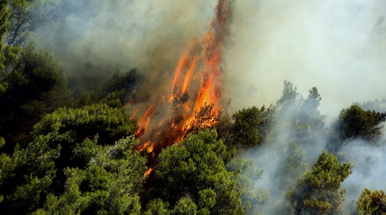 Αναζωπύρωση στη φωτιά της Λακωνίας-Απειλήθηκαν σπίτια στο χωριό Κότρωνας