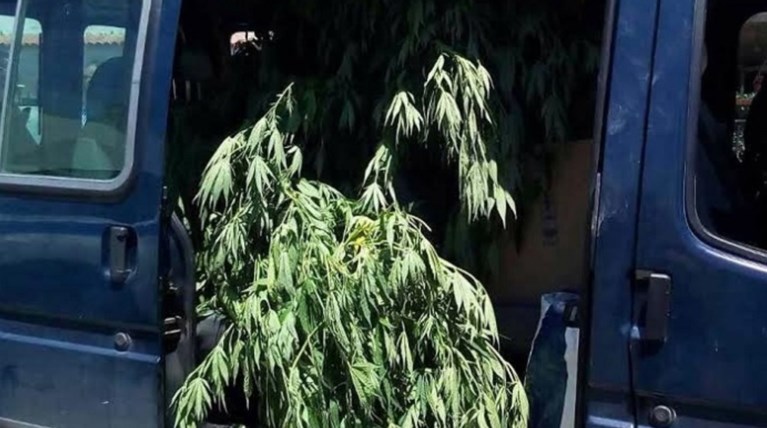 Όπλα, σφαίρες και 80 δενδρύλλια κάνναβης στο στρατόπεδο Καποτά