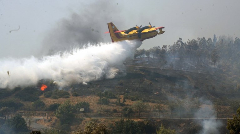 Εκτακτο: Μεγάλη πυρκαγιά μαίνεται στον Ωρωπό, κοντά σε σπίτια