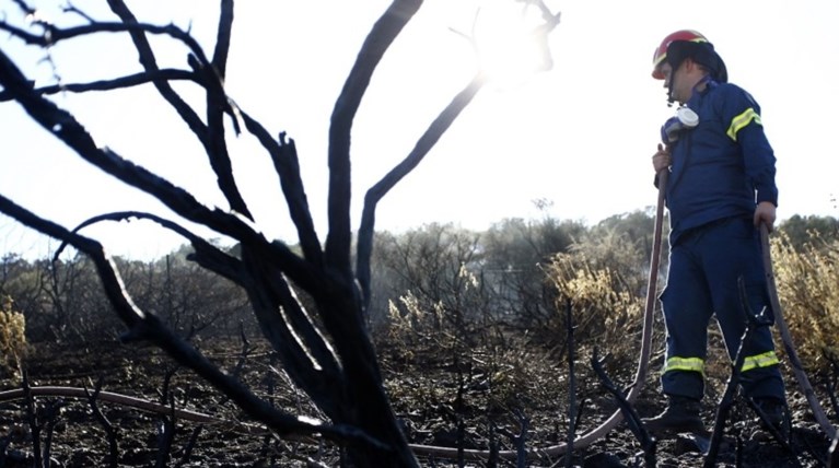 Πυροσβετική: 62 δασικές φωτιές ξέσπασαν μέσα σε 24 ώρες