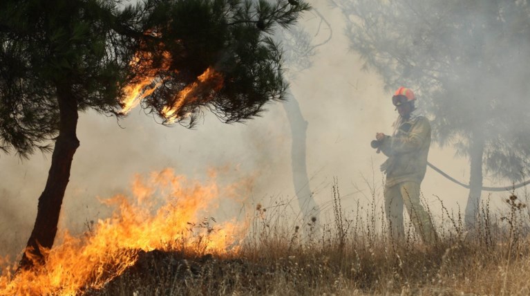 Πύρινη κόλαση στη Ζάκυνθο: Στη μάχη μεγάλη δύναμη της Πυροσβεστικής