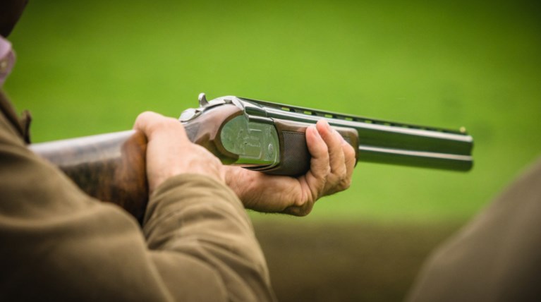 Φθιώτιδα: Αδέσποτα σκάγια τραυμάτισαν οικογένεια