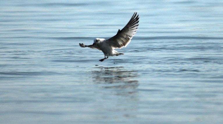 «Ανάσα» από σήμερα, πέφτει σταδιακά η θερμοκρασία