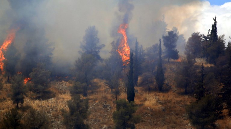 Μεγάλη πυρκαγιά στην Αγία 'Αννα της Εύβοιας