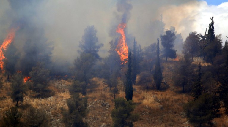 Μεγάλη πυρκαγιά στην Αγία 'Αννα  της Εύβοιας