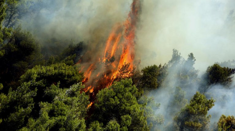 Υψηλός ο κίνδυνος πυρκαγιάς - 39 εστίες σε ένα 24ωρο