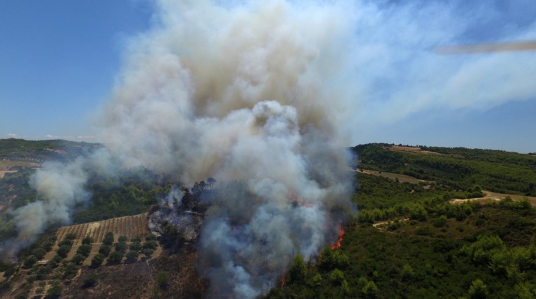 Τέσσερα τα μέτωπα της φωτιάς αυτή τη στιγμή στην Ηλεία