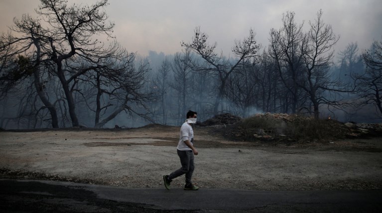 Στάχτη 18.500 στρέμματα, θα χρειαστούν 30 χρόνια για ανάπλαση