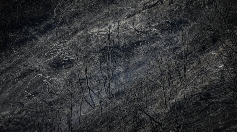 Mελέτες για αντιπλημμυρικά μετά τις φωτιές στην Ανατ. Αττική