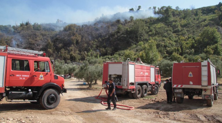 Σε μια μέρα ξέσπασαν 36 αγροτοδασικές πυρκαγιές