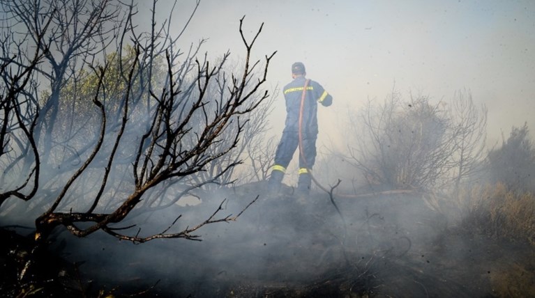 Υπό μερικό έλεγχο η δασική πυρκαγιά στην Ήλιδα της Ηλείας
