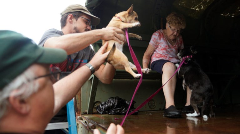 Μπιγιονσέ, Κλούνεϊ, Ρόμπερτς στον τηλεμαραθώνιο για τα θύματα του Χάρβεϊ