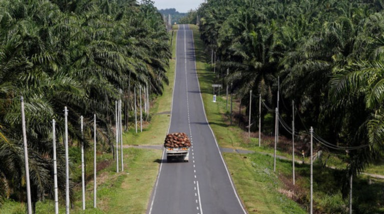 Ανά πάσα στιγμή κίνδυνος έκρηξης ηφαιστείου στο Μπαλί -Τρέμει η γη