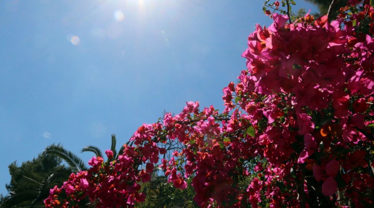 O καιρός την Κυριακή: Εως 27 βαθμούς η θερμοκρασία