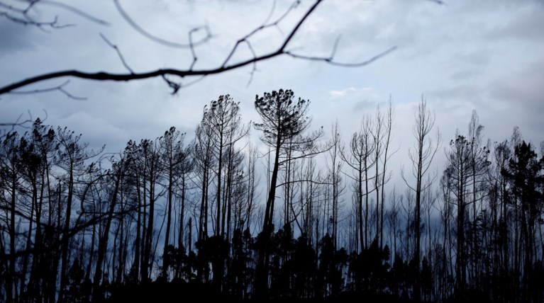 Πορτογαλία: 45 νεκροί από τις φωτιές, παραιτήθηκε η υπουργός Εσωτερικών