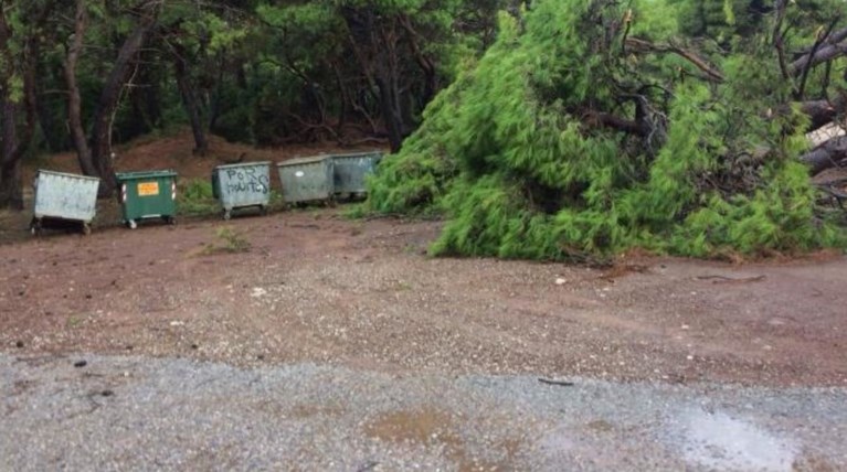 Χαλάζι σαν καρύδι, ανεμοστρόβιλοι και ζημιές στην Τριφυλία