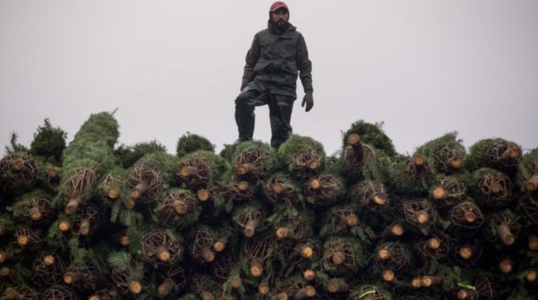 Χριστουγεννιάτικα στιγμιότυπα από τον κόσμο ένα μήνα πριν - Εικόνες
