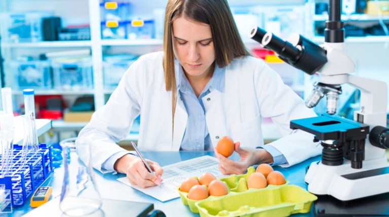 Ειδικοί:Αυξήθηκαν πολύ τα κρούσματα σαλμονέλας στην Ε.Ε το 2016