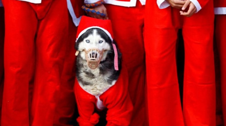 Στιγμιότυπα από τα Χριστούγεννα στον κόσμο