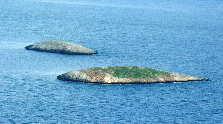 Εξάωρη ένταση στα Ιμια το πρωί, σύμφωνα με την τουρκική Milliyet