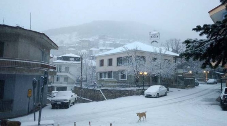 Στα «λευκά» ντύθηκαν τα ορεινά της Λάρισας [εικόνες]