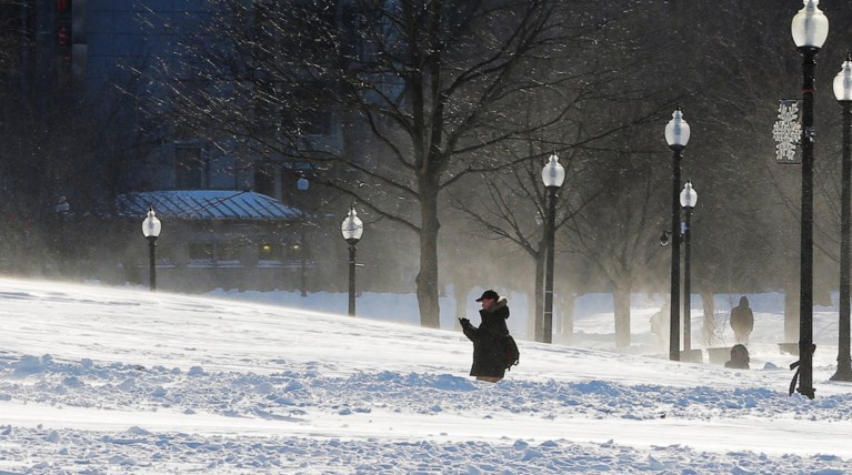 Xάος στις ΗΠΑ από την κακοκαιρία: Το κύμα του χιονιά πάγωσε τα πάντα