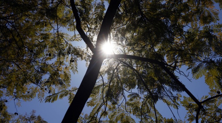 Καλός καιρός με άνοδο της θερμοκρασίας- αναλυτική πρόγνωση