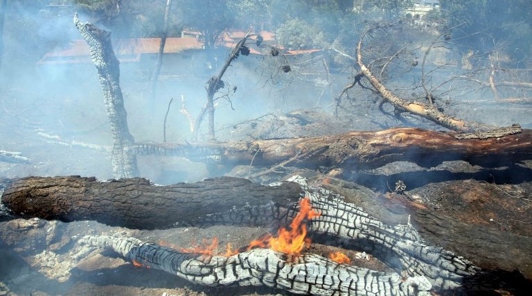 Σύλληψη 46χρονου για σειρά εμπρησμών στα Σπάτα