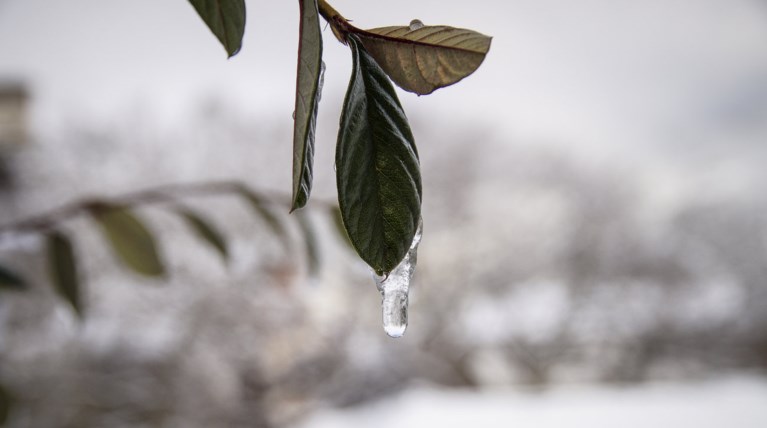 Εντυπωσιακή διαφορά θερμοκρασίας μεταξύ βόρειας και νότιας Ελλάδας