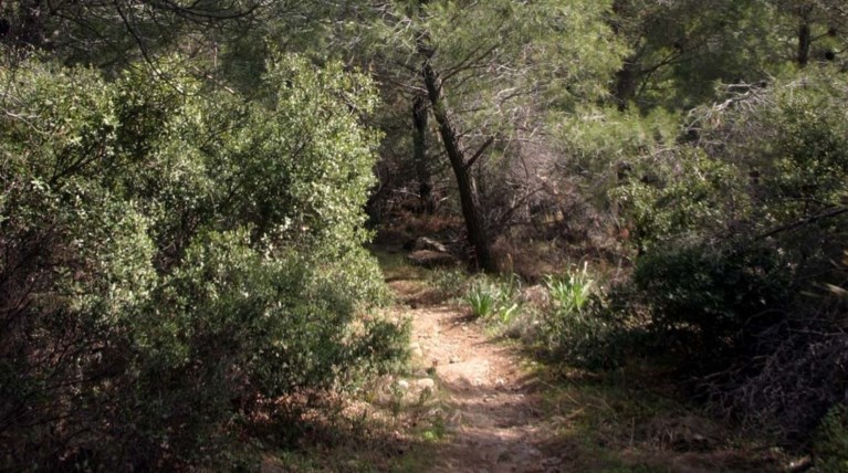 Ανήλικος Αλβανός προπομπός σε μεταφορά ναρκωτικών στα σύνορα