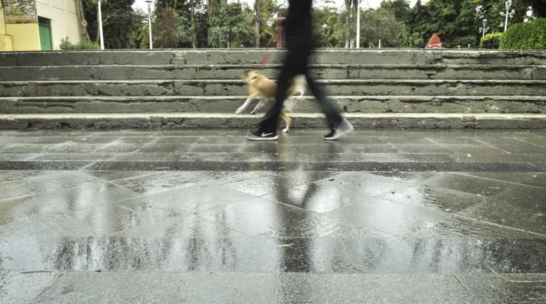 Άγνωστο το κίνητρο της δολοφονίας του 19χρονου στο Μαρούσι