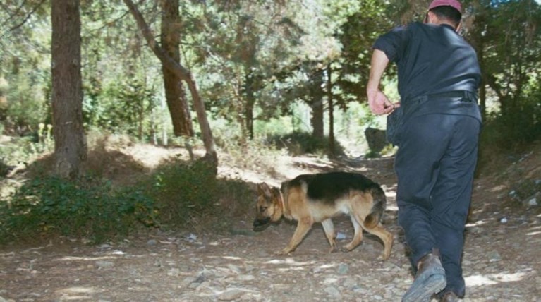 Βρέθηκε ο 9χρονος που χάθηκε σε δάσος στα Καλάβρυτα