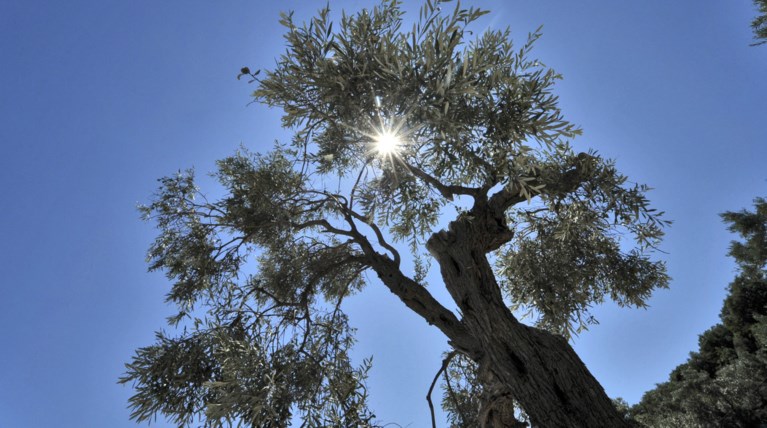 Αίθριος καιρός με υψηλή θερμοκρασία και αρκετή σκόνη