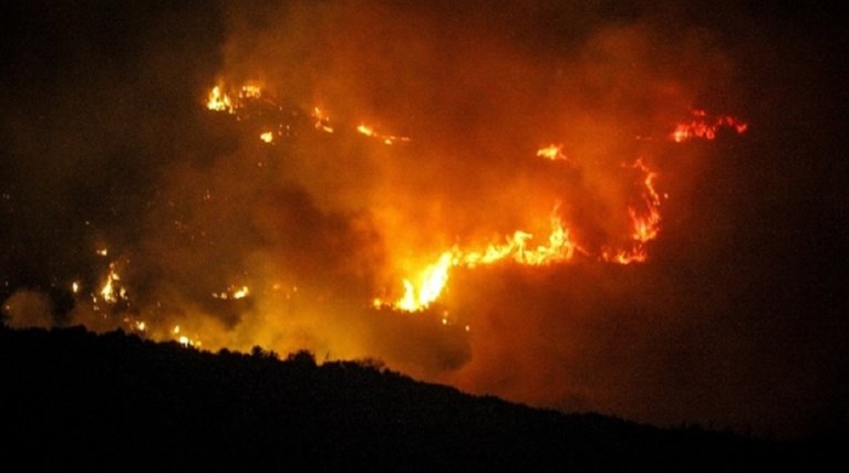 Μάχη με τις φλόγες σε δάσος στα Κρέστενα Ηλείας (φωτό)