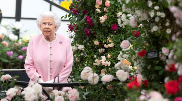 Chelsea Flower Show:  H μεγαλύτερη ανθοκομική στον κόσμο