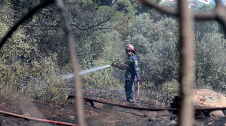 Μεγάλη φωτιά στο Άλσος Συγγρού - Στο σημείο ισχυρές πυροσβεστικές δυνάμεις