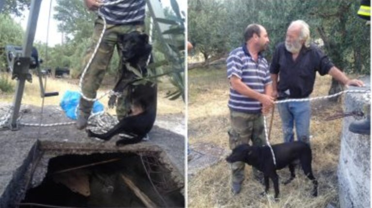 Εριξαν ζωντανό σκύλο σε πηγάδι για να το ξεφορτωθούν - Εικόνες