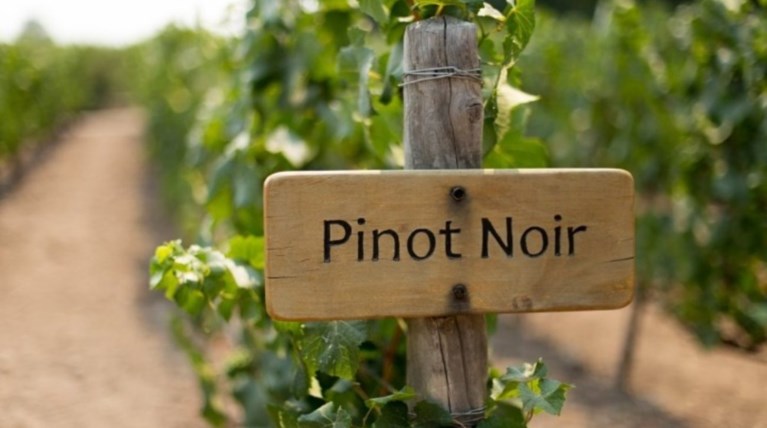 Ιστορική δημοπρασία για τα τελευταία κρασιά του «βασιλιά της Βουργουνδίας»