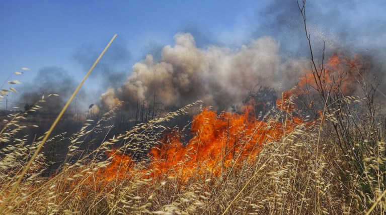 Πυρκαγιά σε δασική έκταση στην περιοχή Βατήσι Καρύστου