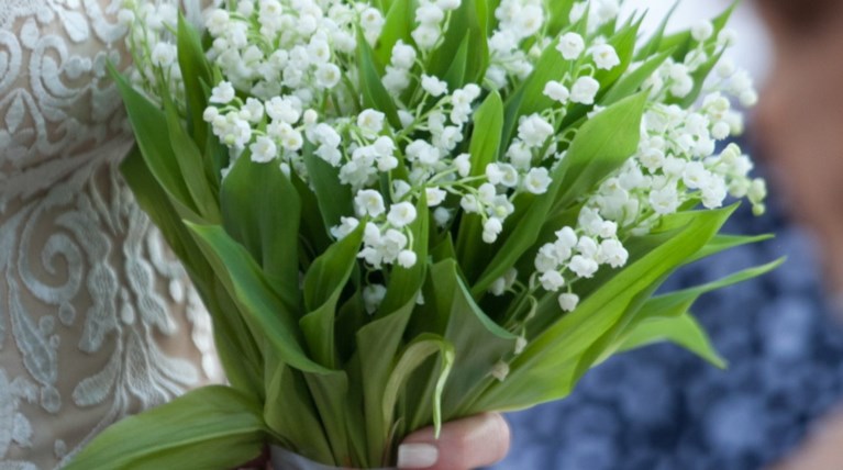 Χαμός σε γάμο στη Λάρισα: Καλεσμένη έκλεβε φακέλους με χρήματα